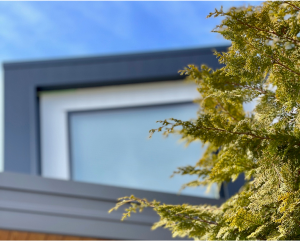 Continuing Registration