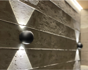 Voluntary Suspension